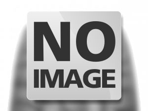 205 50zr17 93w xl - 205/50zr17,